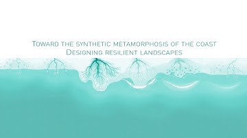 TOWARD THE SYNTHETIC METAMORPHOSIS OF THE COAST  DESIGNING RESILIENT LANDSCAPES