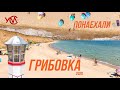 Улетные выходные: почем курорт Грибовка?