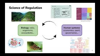 Rules, Regulations, and Randomness: From Biological to Social Systems (James Holehouse)