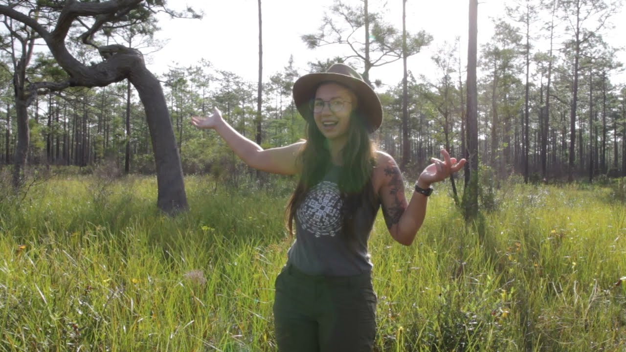 Twisted Cypress Field Trip