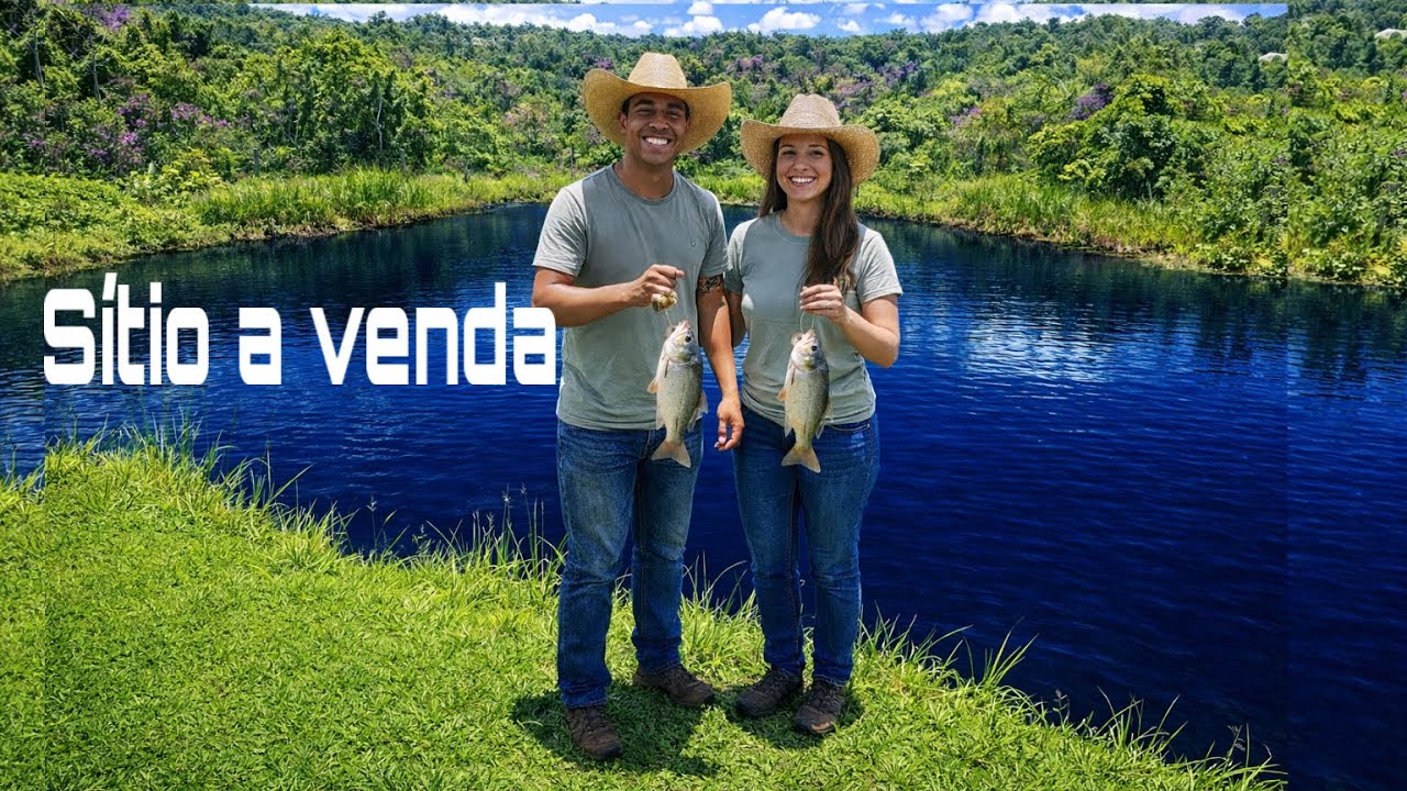 (Sítio a venda) TEM PEIXE - TEM FRUTAS -TEM GALINHAS - TEM HORTA - ESTÁ A VENDA 