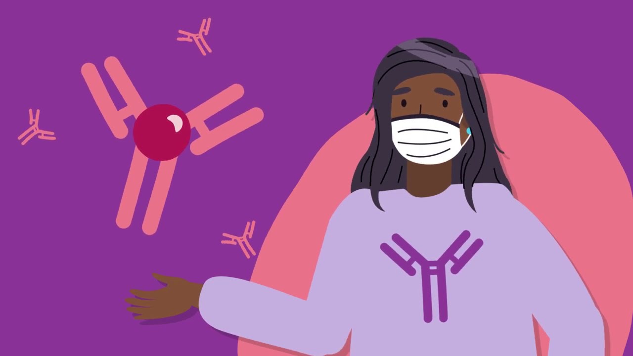 Understanding Antibodies YouTube