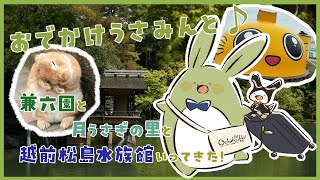 【お雑談！】おでかけうさみんと！～北陸の緑と青と金に染まってきたよ！～【Vtuber】