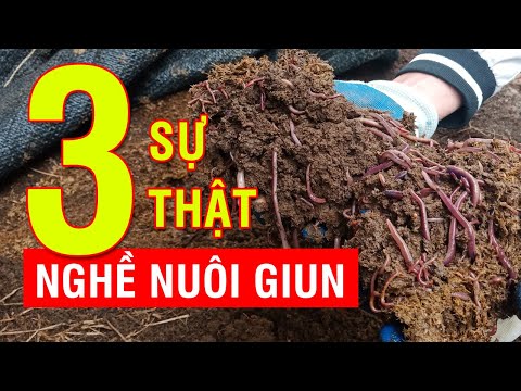 Video: Đơn xin hỗ trợ tài chính: mẫu và hình thức viết với ví dụ, các loại hỗ trợ tài chính