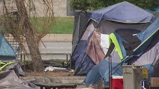 Austin’s homeless strategy officer says homeless HEAL Initiative to begin this summer | FOX 7 Austin
