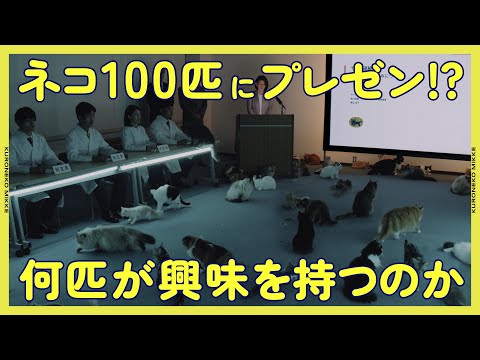 100匹中何匹のネコが‘興味を持つの！？  モニタリング