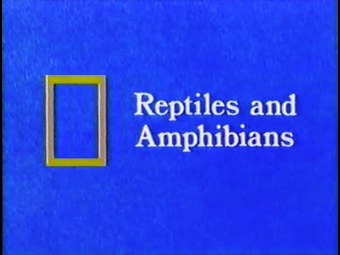 National Geographic - YouTube