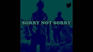 SORRY NOT SORRY by Tyler, the Creator if it was on Bastard