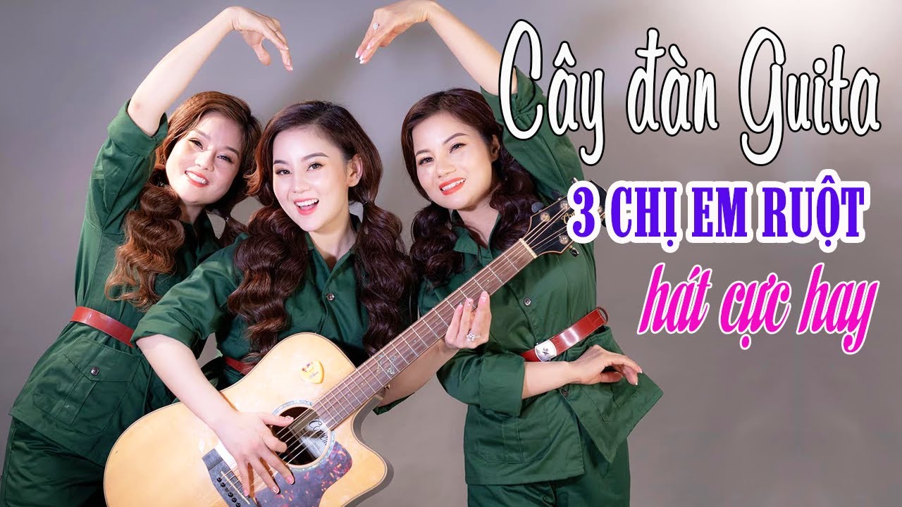 Cưa  cây  xoài  siêu  to , Gần  chùa  tam  bửu  .Cưa  cây  kỷ thuật cao