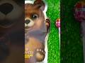 Sweets Candy ASMR Satisfying video Asmr Lollipops candy and chocolate Gummy candy Cutting video