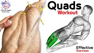 7 Easy Exercises Quadriceps Workout | Leg Day