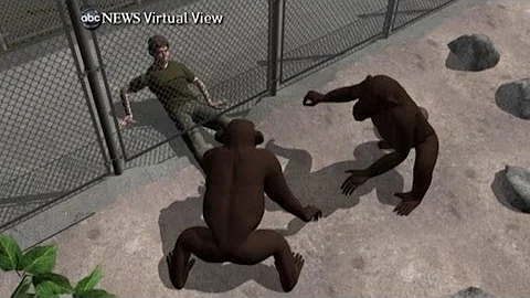 Texas Student Chimp Attack: A Look Inside Sanctuar...