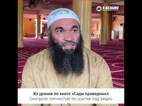 Ругаешь сноху? #shorts Ринат Абу Мухаммад