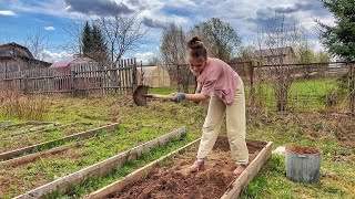 Preparing a HOME FARM for the vegetable season  I'm cooking NETTLE soup for my family