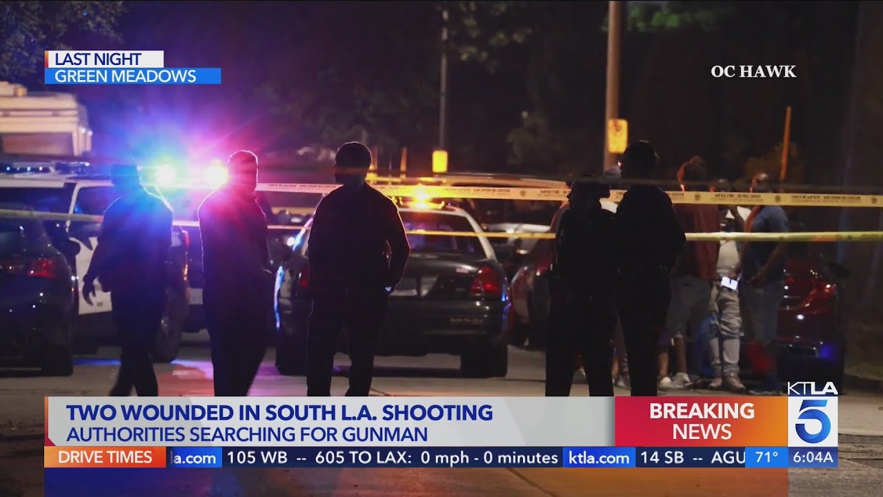 2 men hospitalized after being shot in South L.A. - YouTube