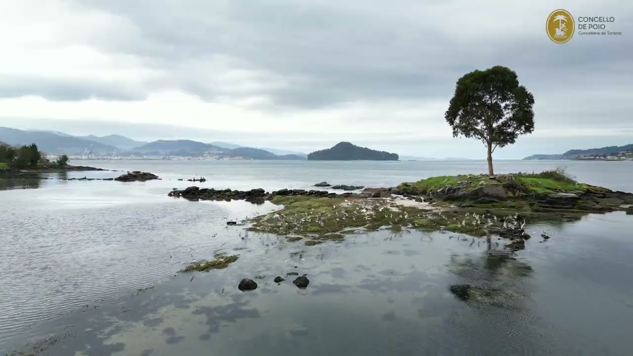 Isla de Tambo y otros lugares muy chulos en Poio (Pontevedra)