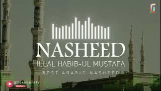 ARABIC Nasheed:  ILAL HABIBUL MUSTAFA (old version) ON TORA BORA-نشید العربی :الی الحبیب المصطفی