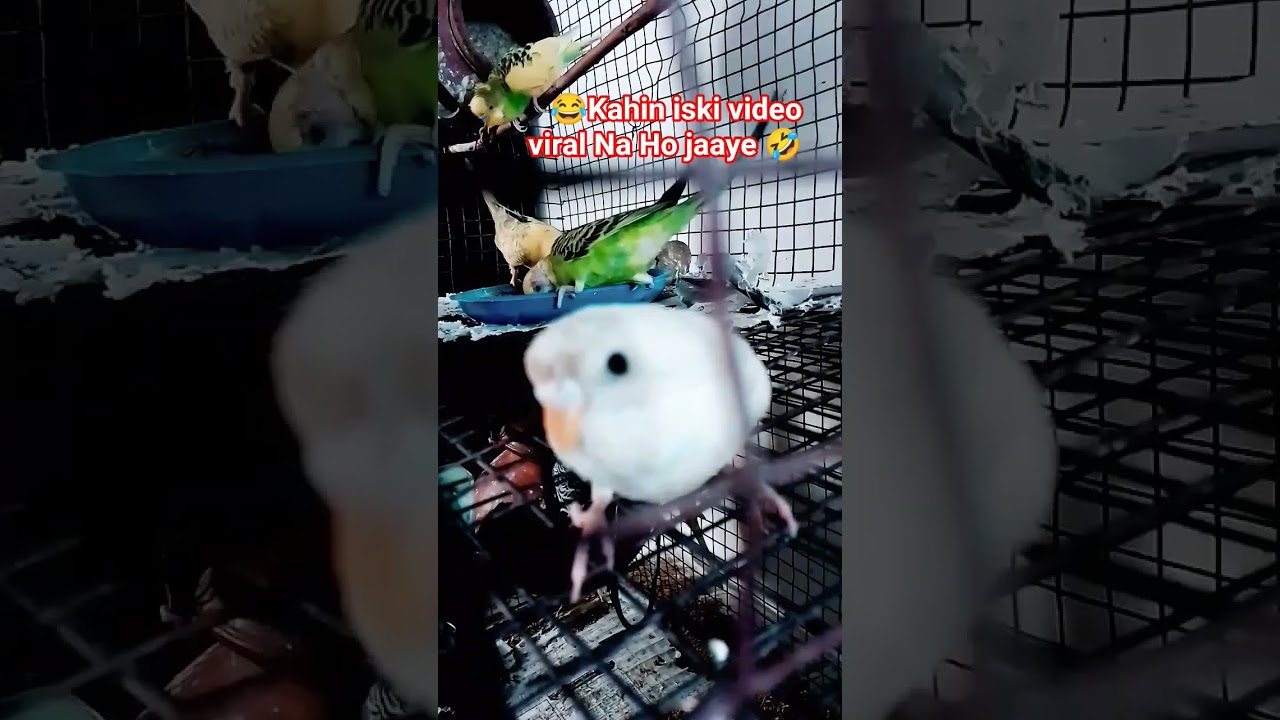 😅kahin video viral Na Ho jaaye🤣 