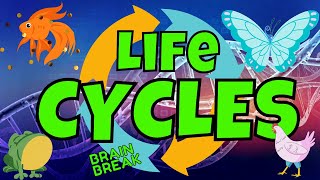 LIFE CYCLES: BRAIN BREAK EXERCISE. SCIENCE AND MOVEMENT. FIND THE MISSING STAGES. SCIENCE GAME screenshot 4