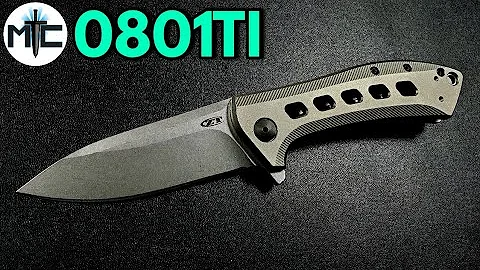 ZT 0801 TI - Overview and Review