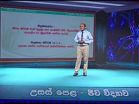 13 ශ්‍රේණිය (ජීව විද්‍යාව) - ව්‍යවහාරික ජීව විද්‍යාව - උද්‍යාන භෝග භාවිතයන් අන්වේෂණය