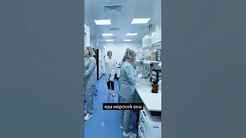 Морская оса - самая опасная медуза. Как защититься? #медузы #опасность #морскиеживотные #опасно