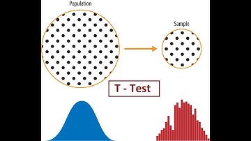 t test using python |t test in statistics | Hypothesis testing and T tests