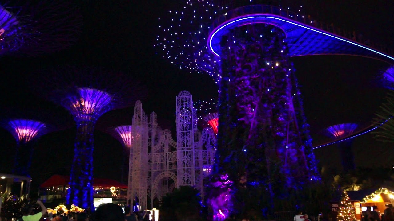 Gardens by the bay Singapore 1