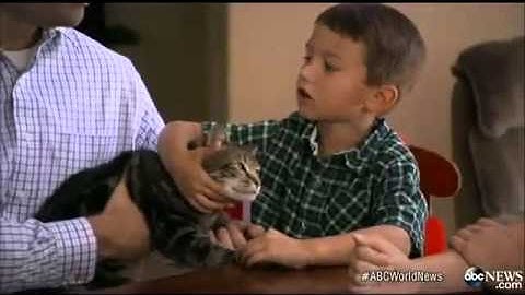 meo dung cam cuu em be khoi cho du