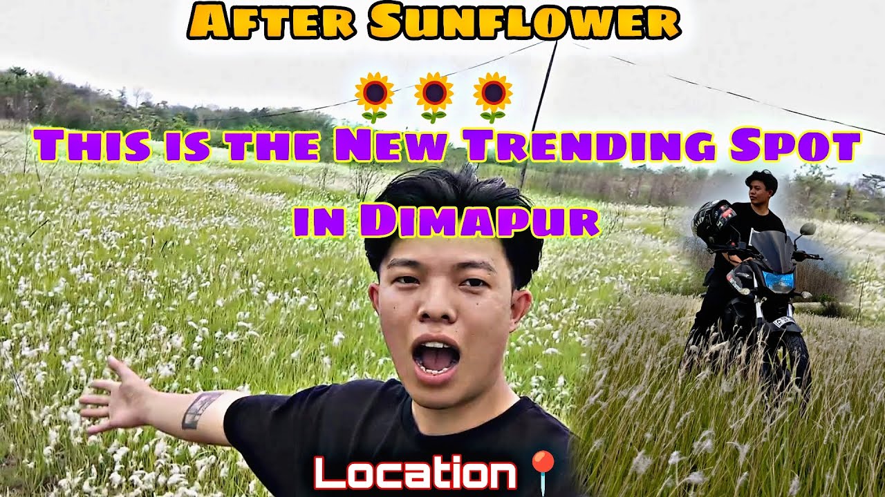 THE NEXT VIRAL SPOT OF NAGALAND, DIMAPUR|| After Sunflower🌻|| #instagram #reelsinstagram