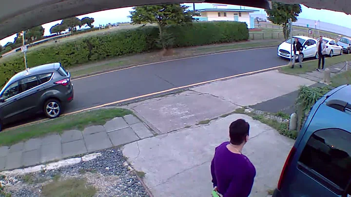 Sister feeds cats but invite friends to come and l...