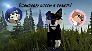 ОЦЕНИВАЮ ПАССЫ В ИГРЕ ПРО ВОЛКОВ!#warriorcatsultimateedition