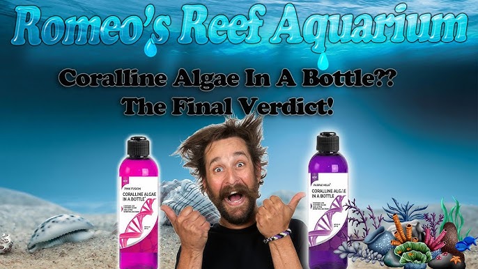 Purple Helix - Live Purple Coralline Algae in a Bottle (8 oz) - ARCReef 