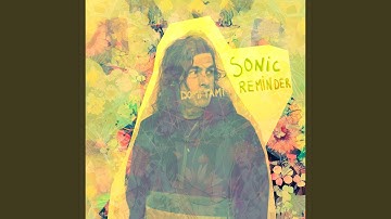 Sonic Reminder