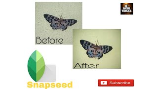 Best mobile photo Editing software ,Snapseed Photo Editing app screenshot 3