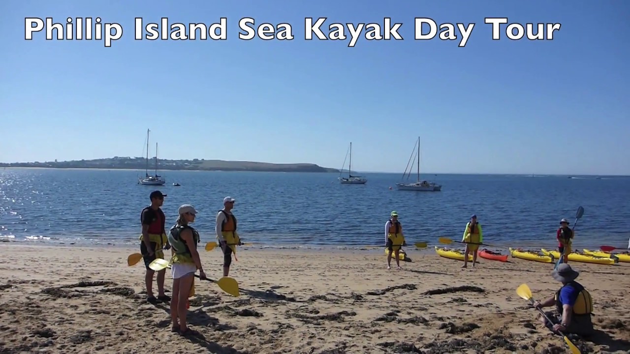 Phillip Island Sea Kayak Day Tour YouTube
