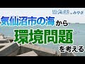 海をみつめて～ＮＰＯ法人「森は海の恋人」～ 日本財団 海と日本PROJECT in みやぎ 2019 #01
