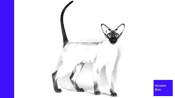 CCA175 Practice Test | Open Test Questions & SparkShell