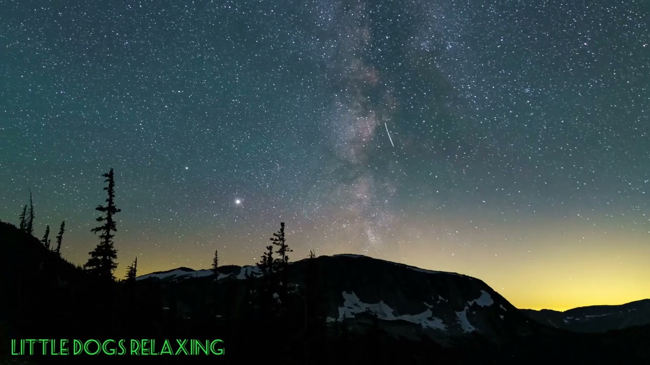 Wolves Howling Sounds / wolf howling / wolf howl to music / Relax / Wolf music.