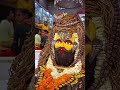 Mahakal Ujjain nagari, Shiv kripa #shiv #Shiv भोलेनाथ#महादेव#हरहरमहादेव#महाकाल#शिवशंभु#ॐनमःशिवाय#