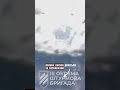 💥 Третя ОШБ &quot;скосила&quot; російський &quot;Тюльпан&quot; на Харківщині