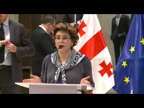 გამოჩნდა, რომ „ქართული ოცნება“ არ არის მზად, აიღოს მისი მთავარი პასუხისმგებლობა - სამნიძე