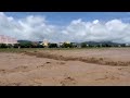 日野川で氾濫危険水位に到達 福井県越前市・鯖江市(2022年8月5日)