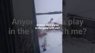 snuggle weather #snowday #cuddleweather #breadsandsoups #fimblewinter