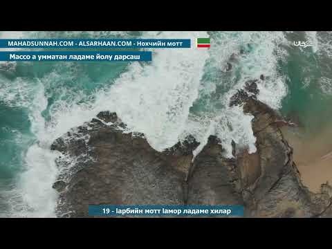 19      أهمية اللغة العربية   هيثم 