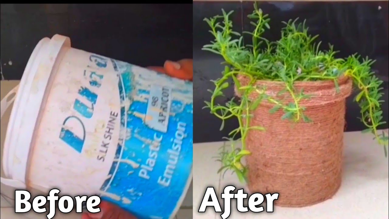 Recycle paint bucket ideas paint bucket for plants Old paint bucket