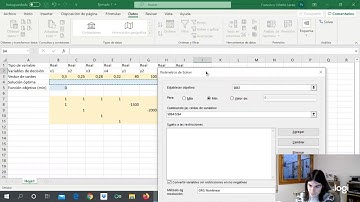 Vídeo Ejemplo 1 Programación entera Excel