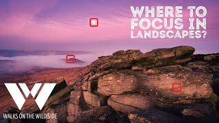 Where to focus in landscape photography