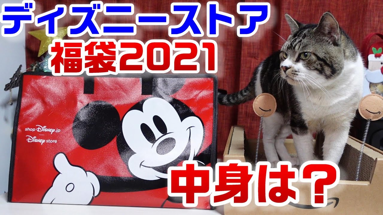 21年福袋開封 ディズニーストアラッキーバッグ21 今年は当たり ハズレ 必ず入ってるプーさんかオラフのぬいぐるみ 猫が助手でグッズの中身を紹介 総額は Youtube