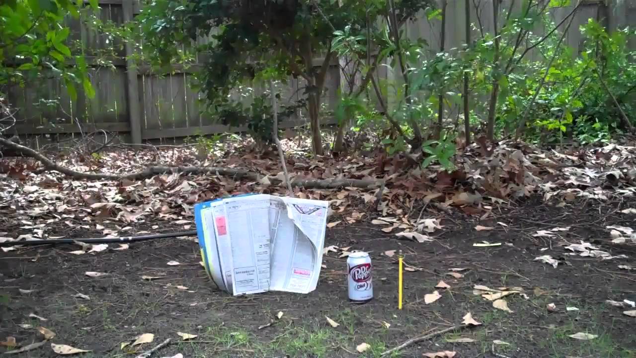 Special video! (not a gun nut) YouTube